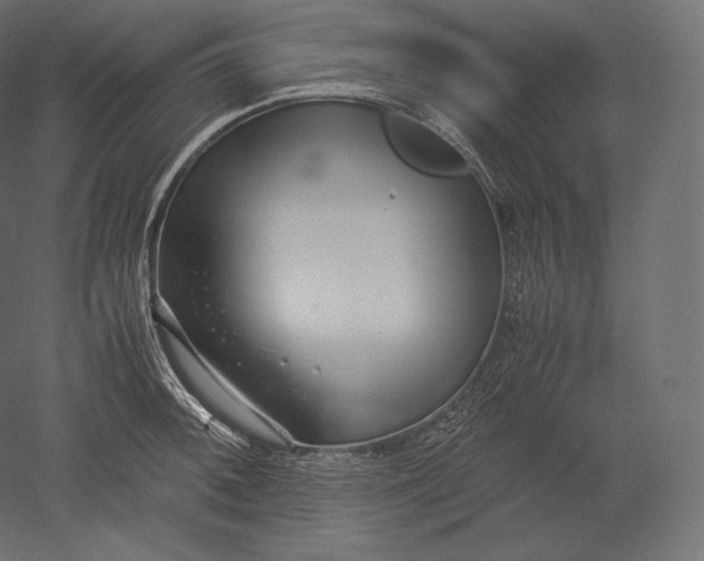 X0000051251092200507011646