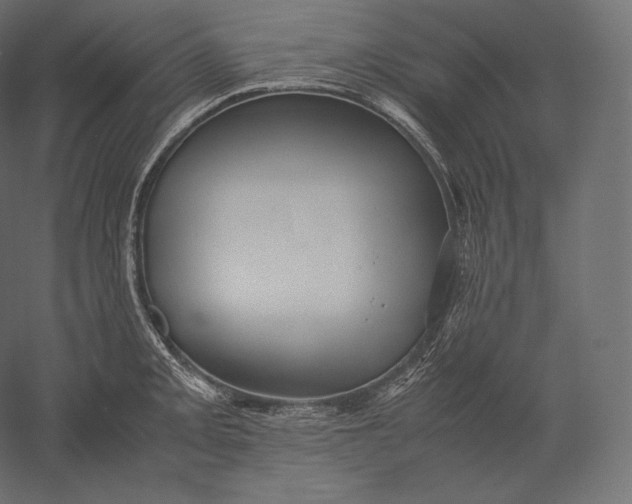 X0000051251093200507011646