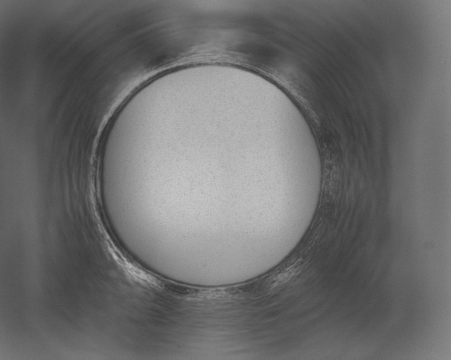 X0000051251094200507011646