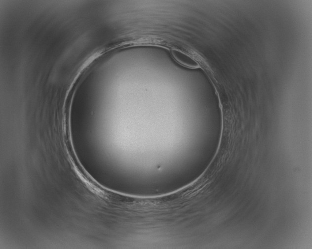 X0000051251095200507011646