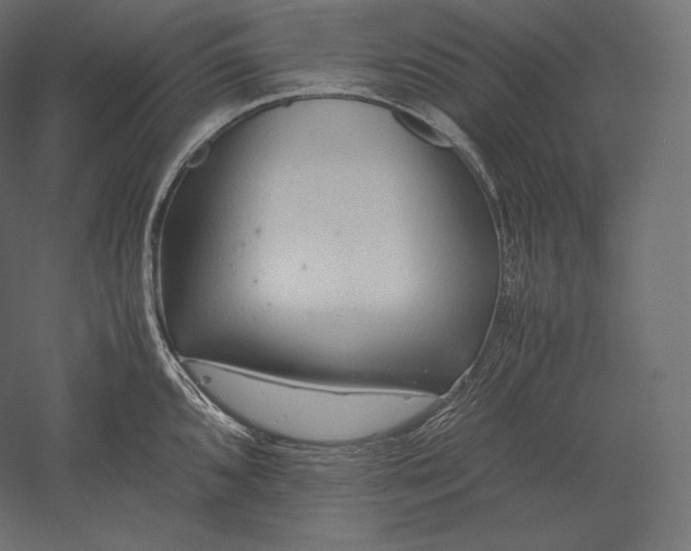 X0000051251096200507011646