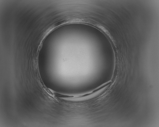 X0000051251097200507011646