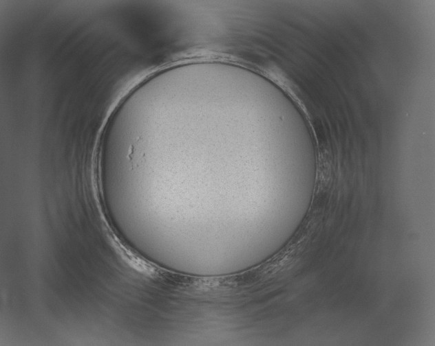 X0000051251098200507011646