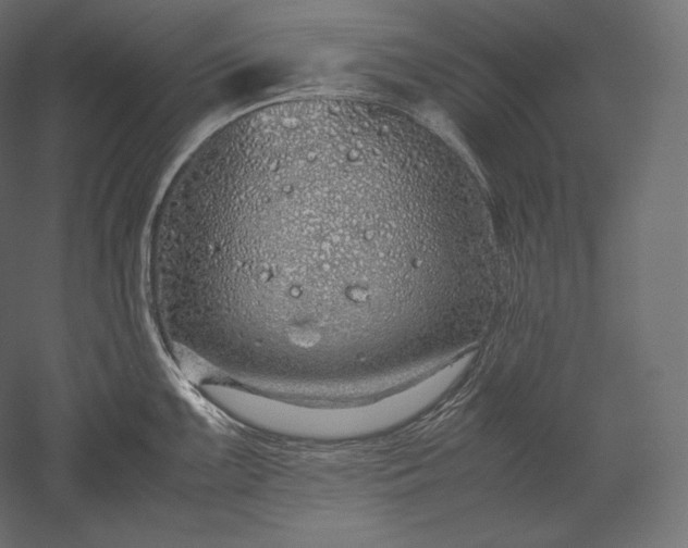 X0000051251099200507011646