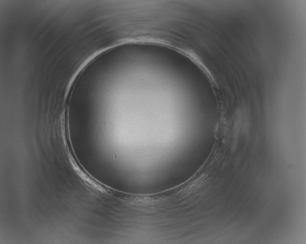 X0000051251100200507011646