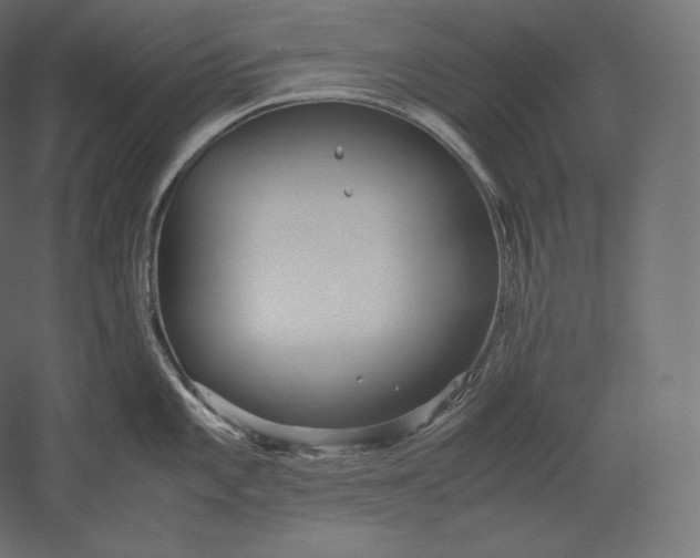 X0000051251101200507011646