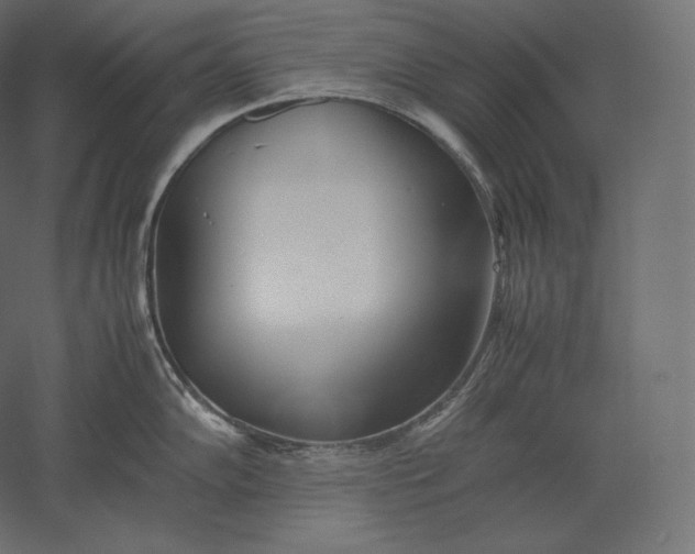 X0000051251102200507011646