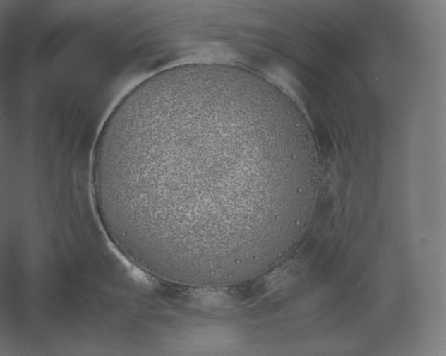 X0000051251103200507011646