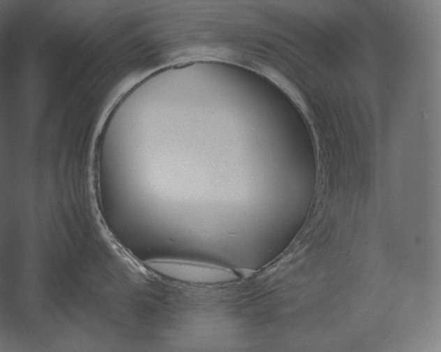 X0000051251104200507011646