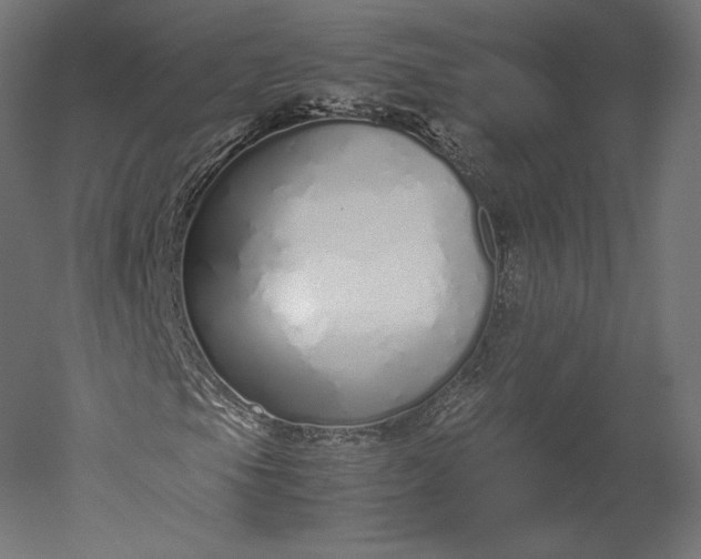 X0000051251105200507011645