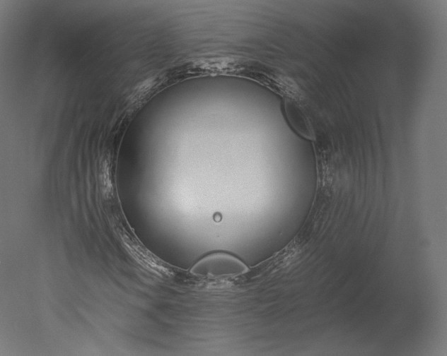 X0000051251106200507011645