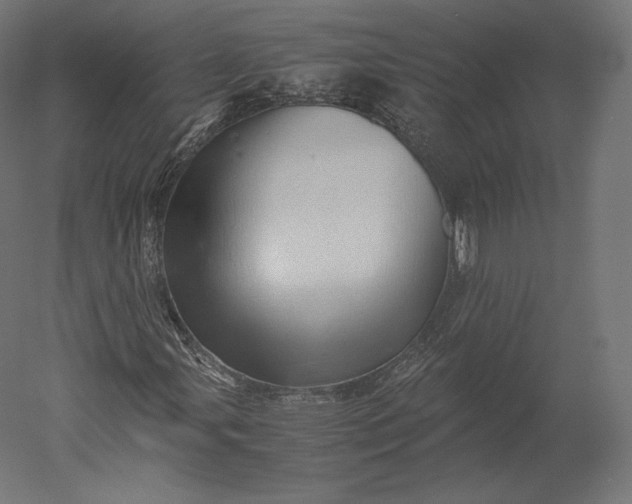 X0000051251107200507011645