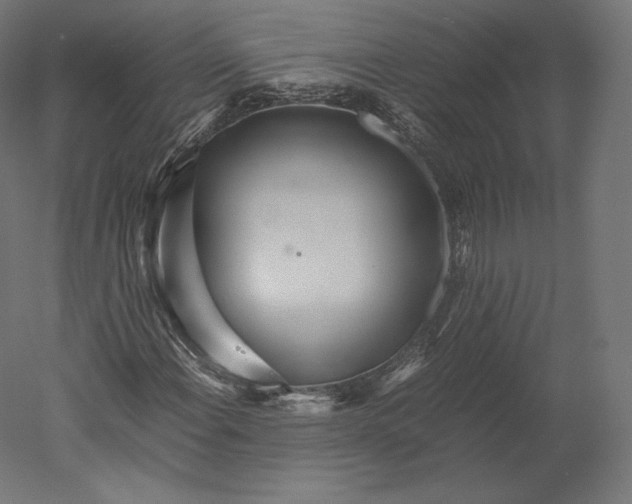 X0000051251108200507011645