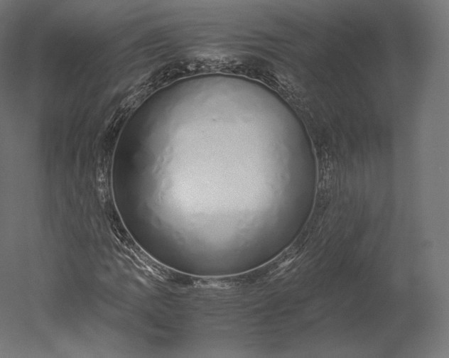 X0000051251109200507011645