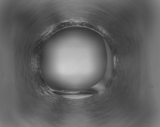 X0000051251110200507011645