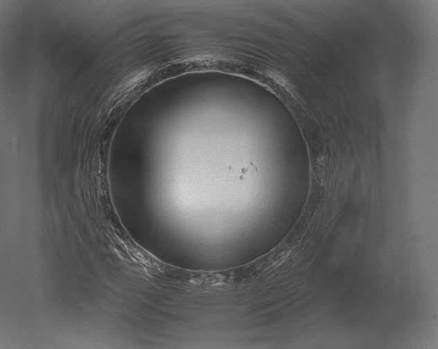 X0000051251111200507011645