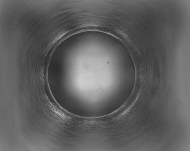 X0000051251113200507011645