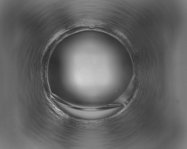 X0000051251114200507011645