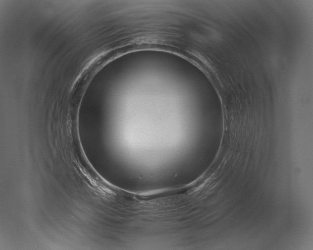 X0000051251115200507011645