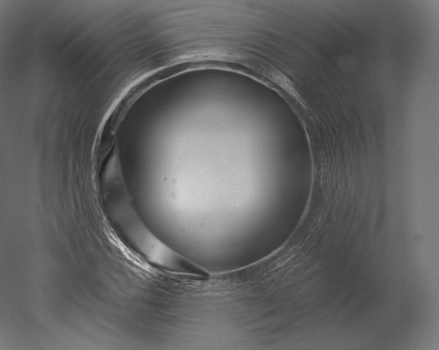 X0000051251116200507011645