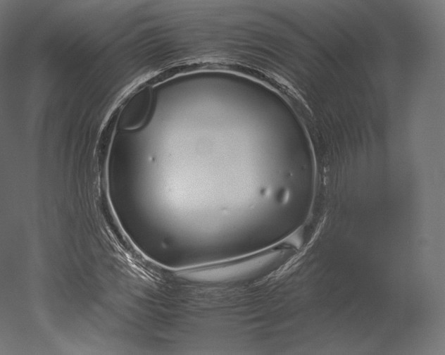 X0000051251117200507011645