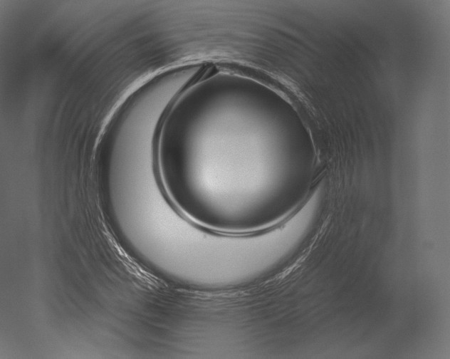 X0000051251118200507011645