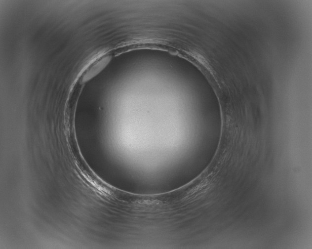 X0000051251119200507011645