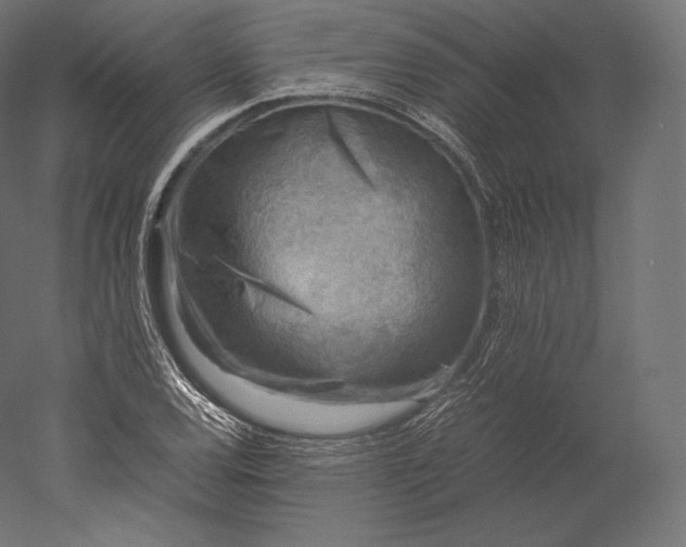 X0000051251120200507011645