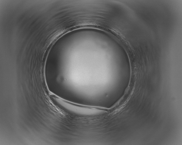 X0000051251121200507011645