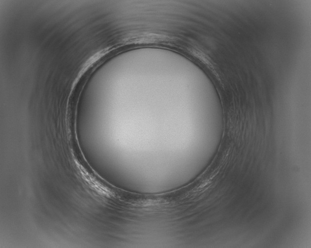 X0000051251122200507011645