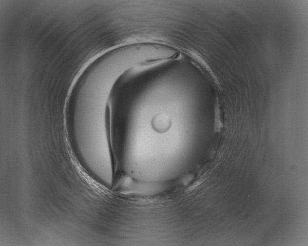 X0000051251124200507011645