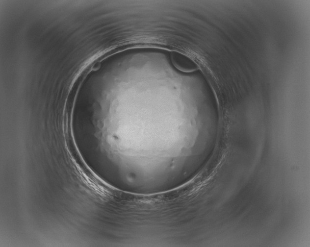 X0000051251125200507011645