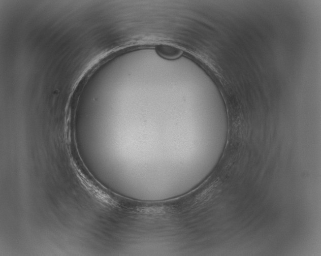 X0000051251126200507011645