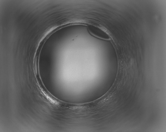 X0000051251127200507011645