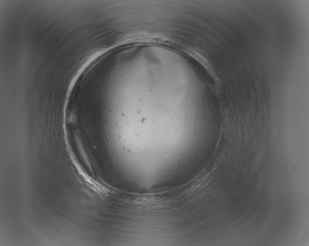 X0000051251128200507011645