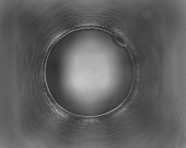 X0000051251129200507011645