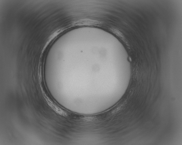 X0000051251130200507011645