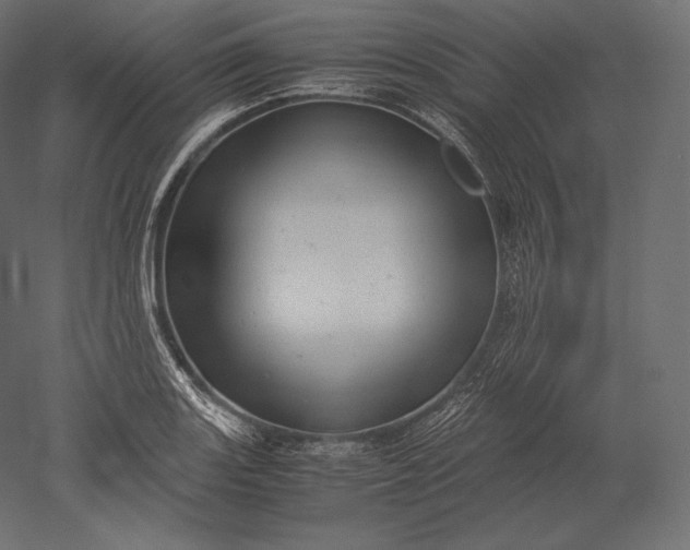 X0000051251131200507011645