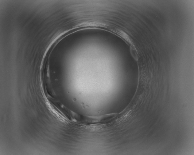 X0000051251132200507011645