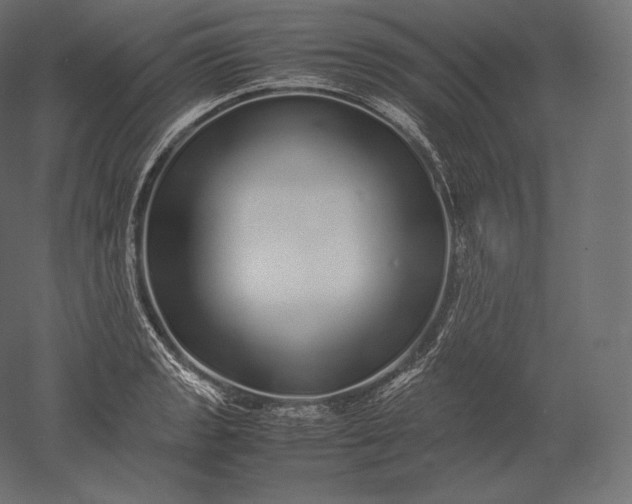 X0000051251133200507011645