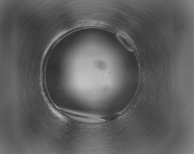 X0000051251136200507011645