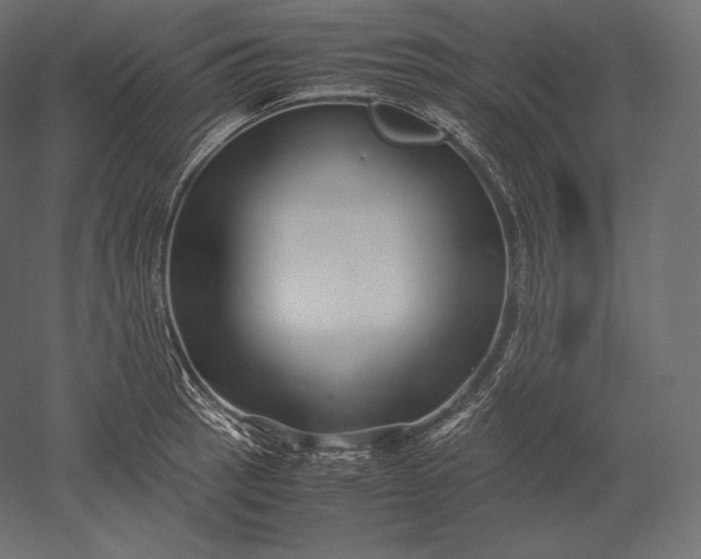 X0000051251137200507011645