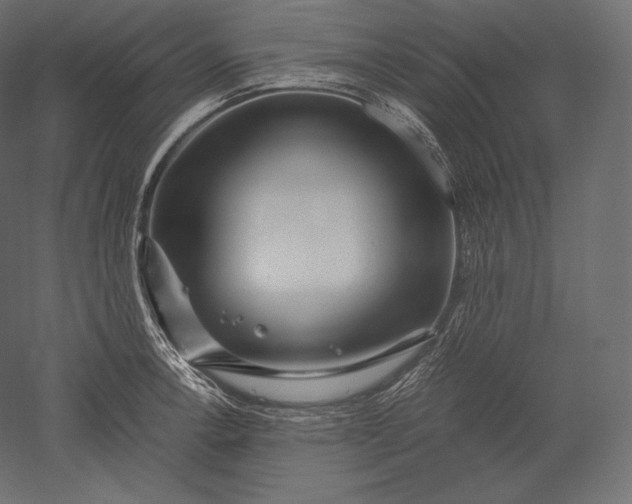 X0000051251138200507011645