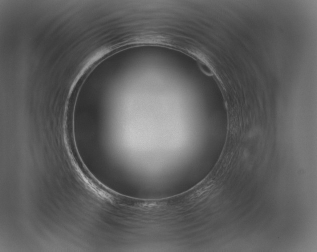 X0000051251139200507011645