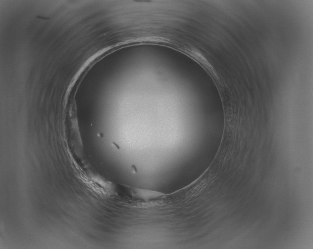 X0000051251140200507011645