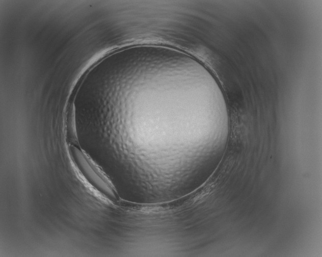 X0000051251142200507011645