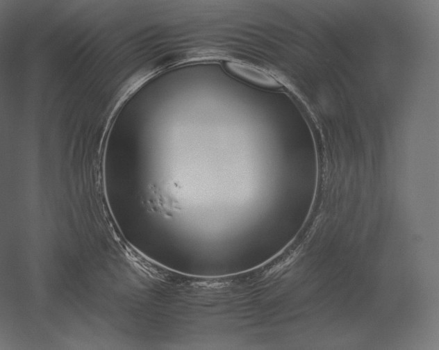 X0000051251145200507011645