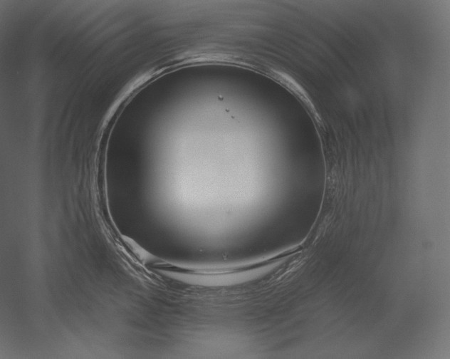 X0000051251146200507011645