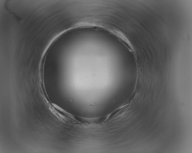 X0000051251148200507011645