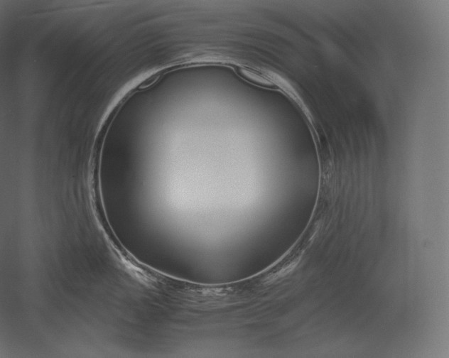 X0000051251149200507011645